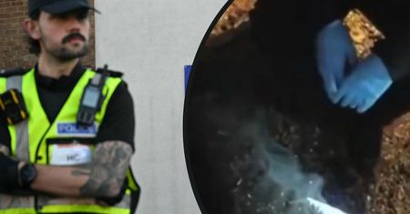 Oświadczenie ambasady ws. Henry'ego Nowaka. "Konsul RP wnikliwie analizuje sprawę"