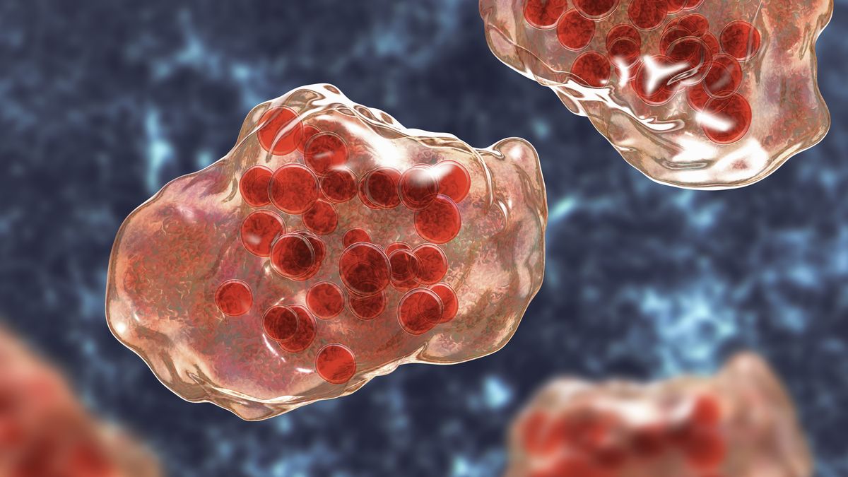 Wirus odry - zdjęcie ilustracyjne