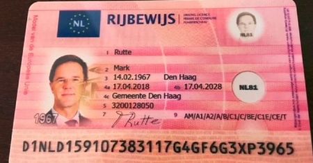 Holenderscy dziennikarze kupili w Polsce prawo jazdy. Premier żąda wyjaśnień