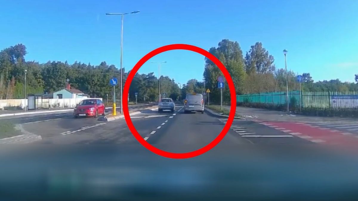 Kierowca nie zauważył kobiety z psem