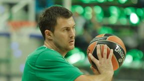 Vladimir Dragicević wraca do Stelmetu BC!