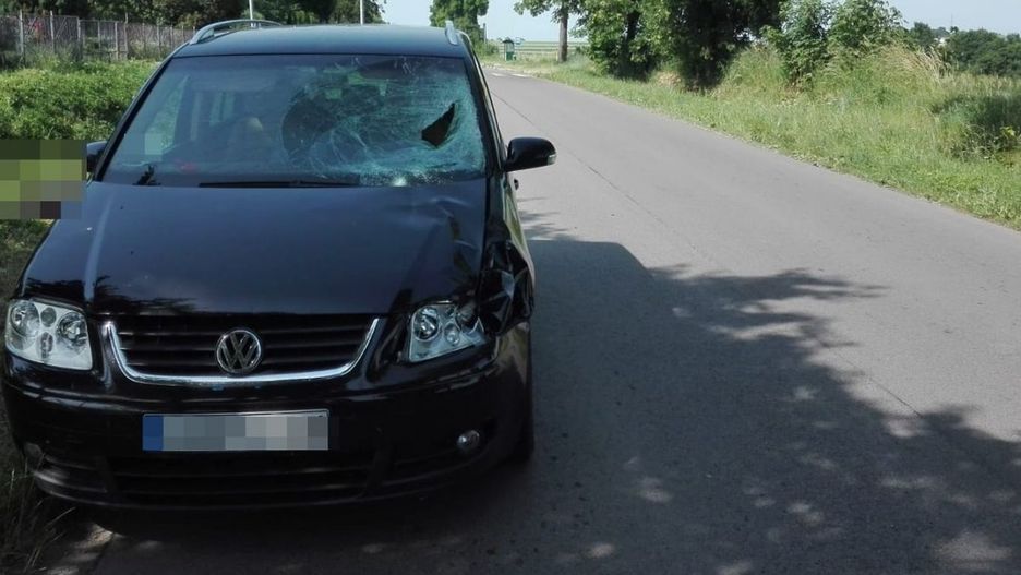 Miączyn Kolonia. Pijany potrącił 14-latkę. Ta zmarła