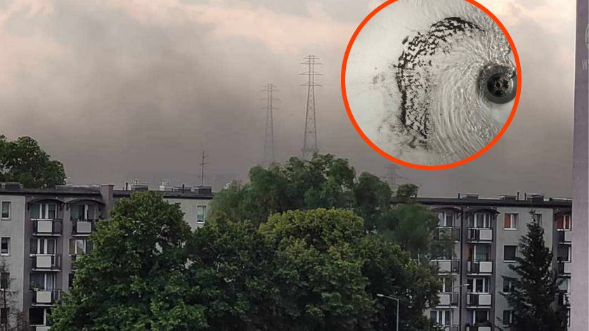 Protest ws. pyłu węglowego. Port Gdański odpowiada