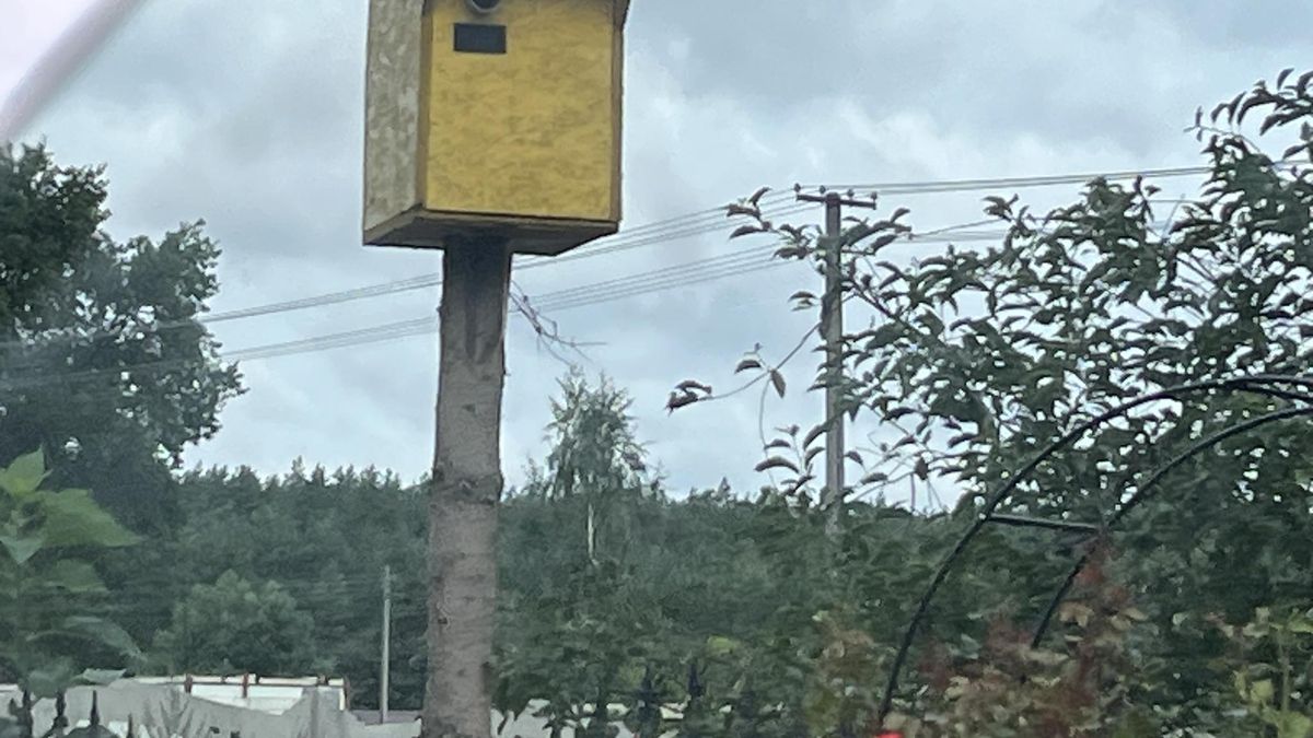 Atrapa fotoradaru pomaga w walce z piratami drogowymi