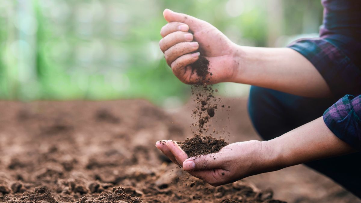 Tylko tak przygotowuję ziemię po zimie w ogrodzie 