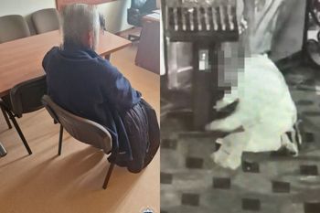 Grasował nocą w kościele. Włamał się do skarbonek