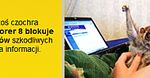 Plażuj z Internet Explorer. Wakacyjna kampania przeglądarki