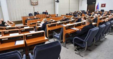 Senat podjął decyzję ws. "Piątki dla zwierząt". Nowelizacja trafi do Sejmu