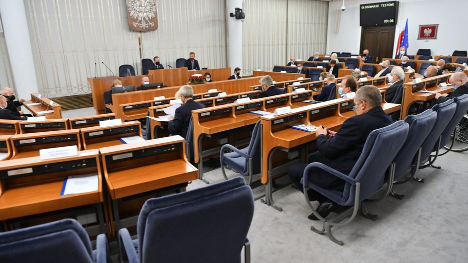 Senat podjął decyzję ws. "piątki dla zwierząt". Teraz dalszy los ustawy jest w rękach posłów