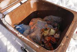 Jak segregować odpady? Wciąż mamy z tym problemy. Wstyd w dużych miastach