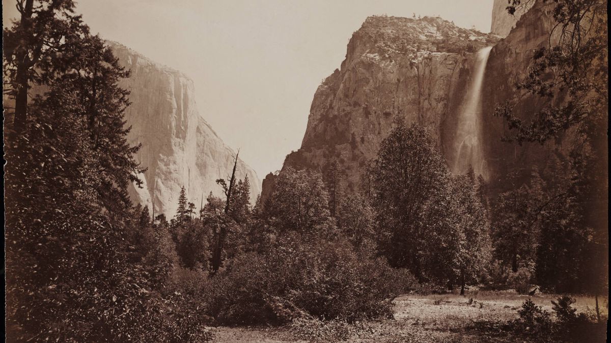 Jak Carleton Watkins przekonał Lincolna do ochrony parku Yosemite? 1
