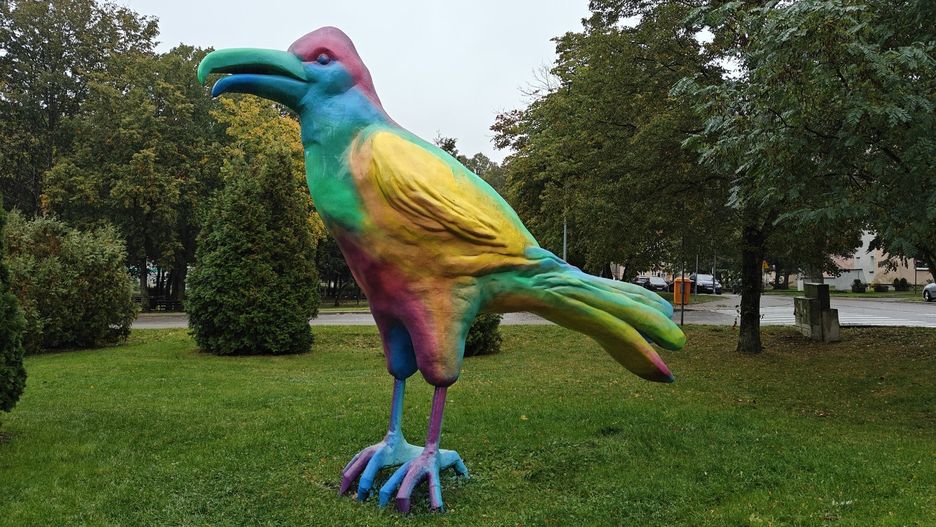 Szczecinecki kruk po metamorfozie