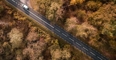 26 km bez zakrętów. Oto najdłuższe proste drogi w Polsce