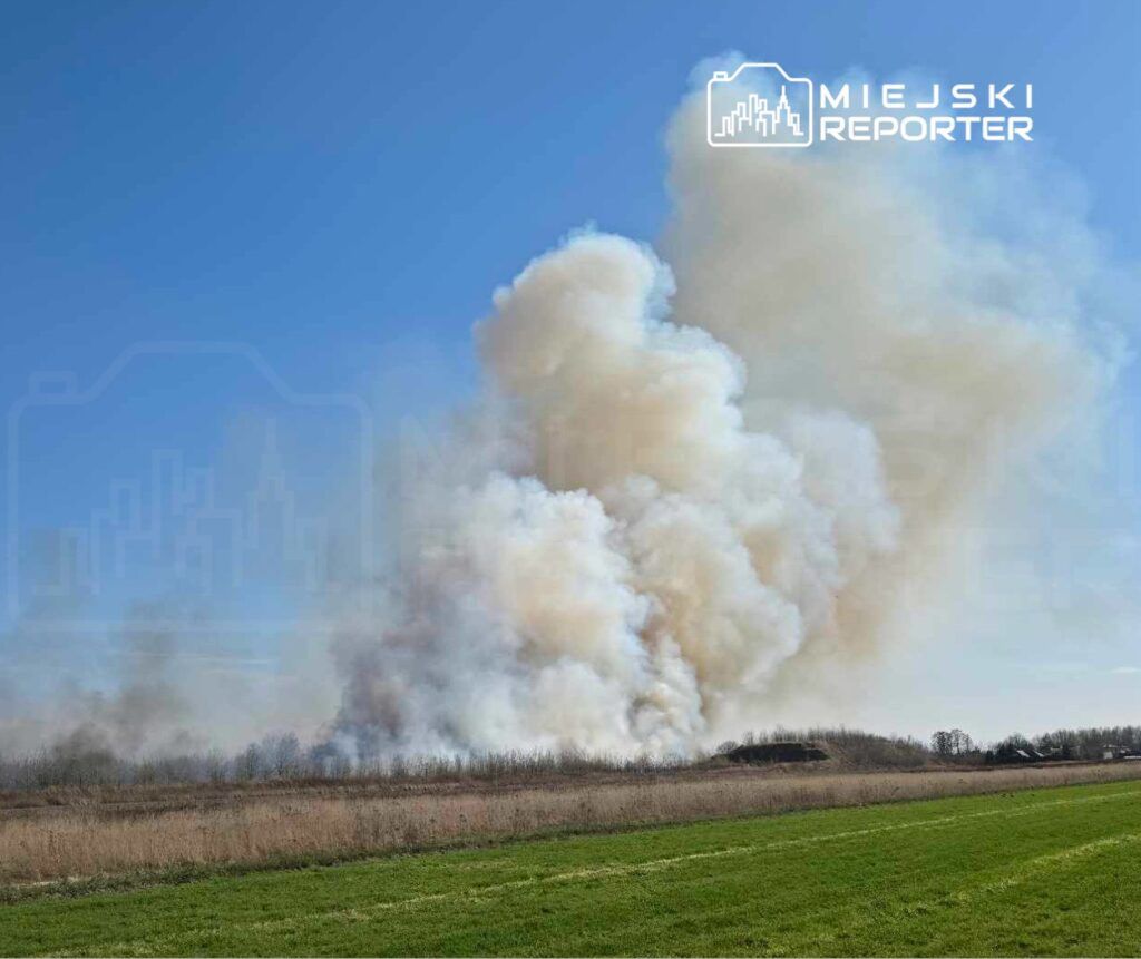 Gęsty słup dymu unoszący się z wyżyny na tle niebieskiego nieba, otoczenie z zieloną łąką i nagimi drzewami.