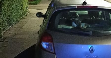 Policja szuka sprawców. Zniszczyli łącznie 13 aut