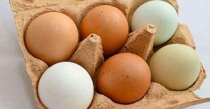 Jaja od kur z wolnego wybiegu mogą zawierać rakotwórcze dioksyny