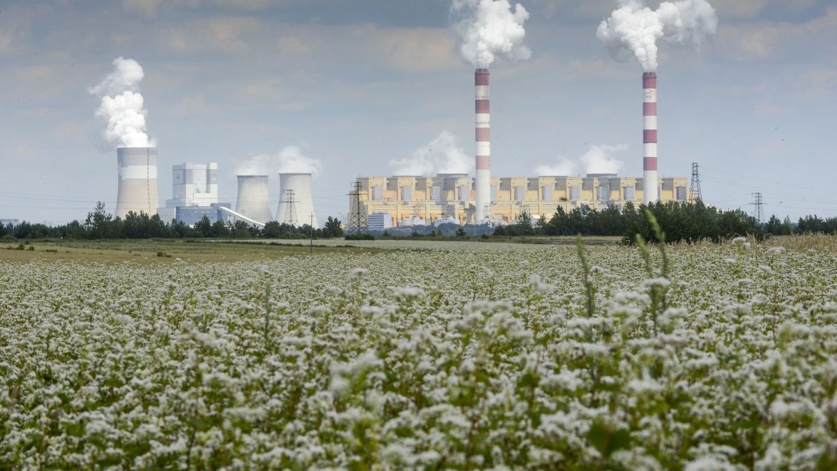 Cały czas 80 proc. wytwarzanej w Polsce energii pochodzi ze spalania węgla