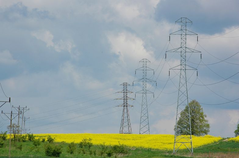 Prezes PSE apeluje o ograniczenie zużycia prądu. Wszystko przez upały