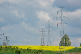 Most energetyczny Polska-Litwa. Rusza handel prądem