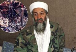 Historia Osamy bin Ladena. Jak przedsiębiorca budowlany i milioner został najsłynniejszym terrorystą świata?