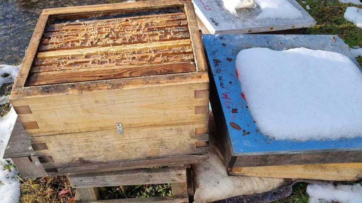 Akt wandalizmu w Tworzyjanowie.