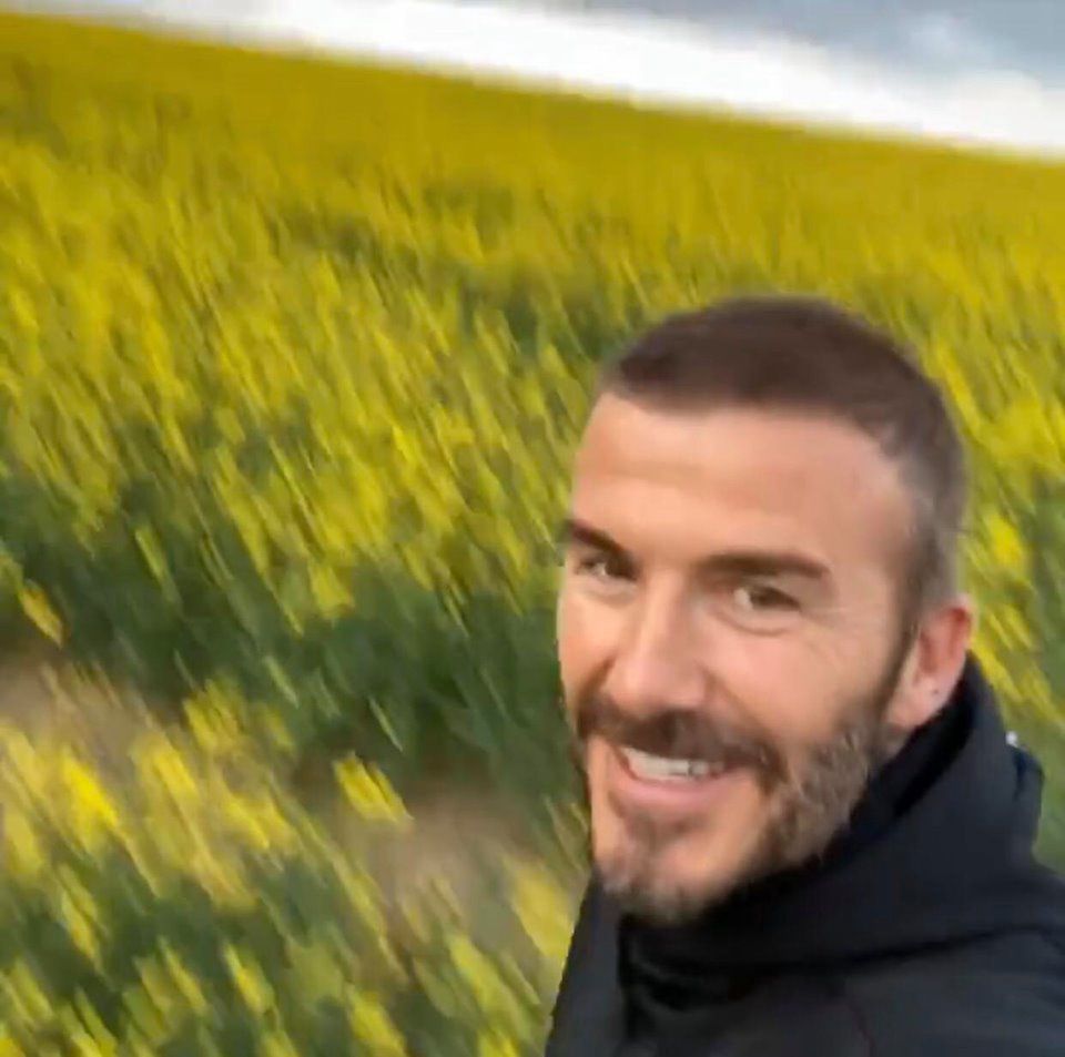 David Beckham