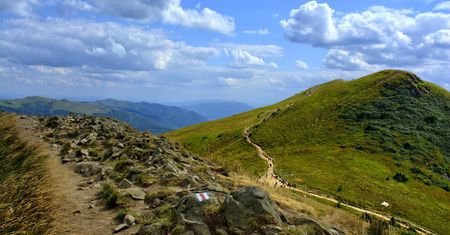 Bieszczady. Odnaleziono ludzkie szczątki. Obok leżał australijski dokument