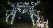 Poznań: Lumina Park 2025 w nowej odsłonie. Spektakularna atrakcja znów przyciągnie tłumy. Oto ceny biletów i lista atrakcji