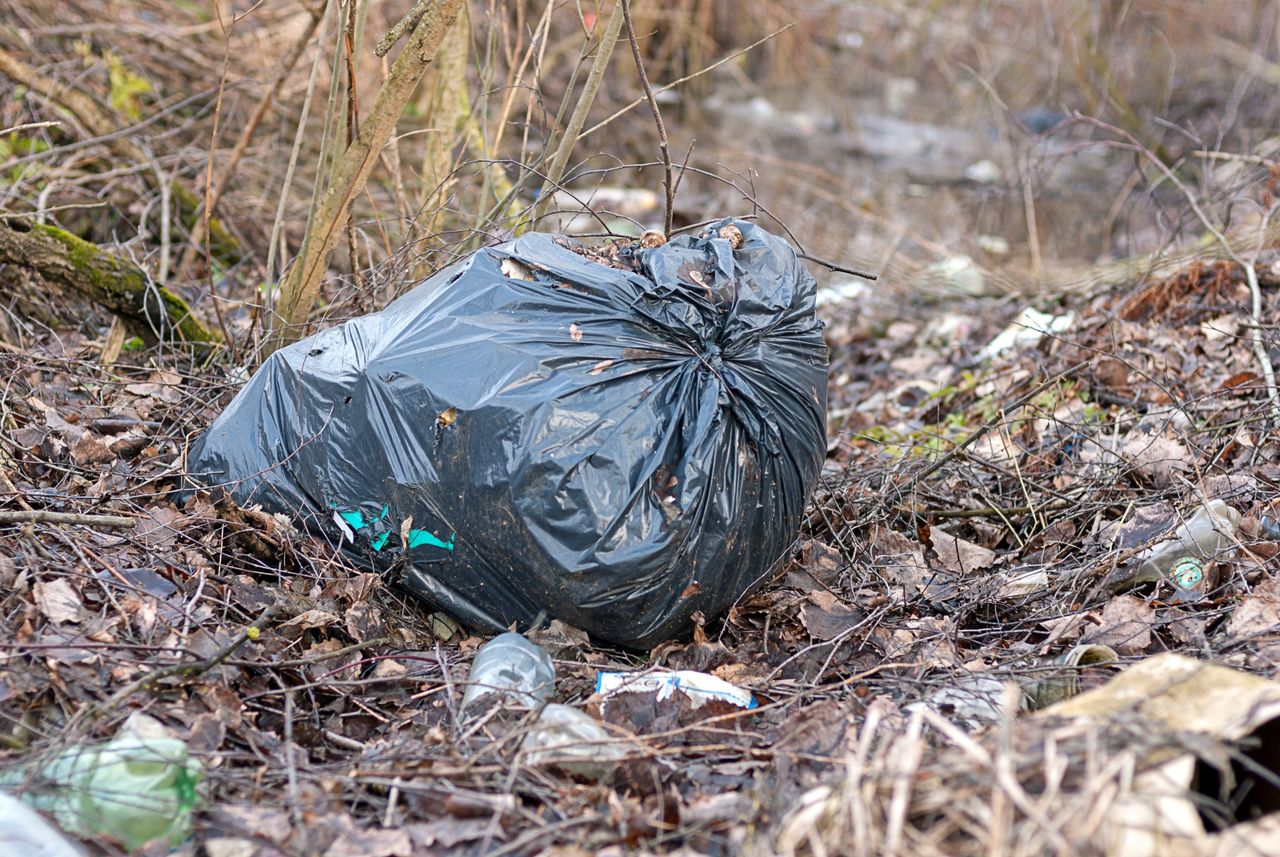 Ktoś wyrzucił śmieci w lesie. Leśnicy znaleźli w nich liścik