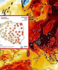 Wyjątkowo ciepły styczeń. Rekordowa temperatura na biegunie zimna