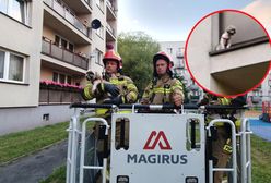 Pies stał za barierką balkonu. Interweniowali strażacy