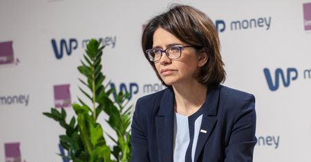 Streżyńska o swojej dymisji. "Mam robotę do wykonania"