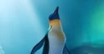 ''Happy Feet 2'': relacja z polskiej przedpremiery [wideo]