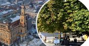 Nowy Sącz: Więcej "życia" na  rynku. Ma się pojawić nowe drzewo