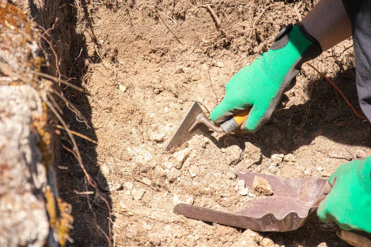 Bytom: Pod kościołem znaleziono ludzkie kości. Niecodzienne znalezisko wzbudziło poruszenie. Szkielet już pod okiem archeologów