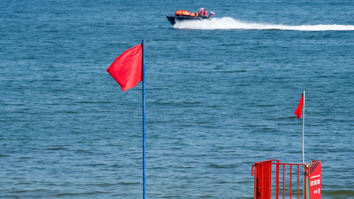 Zakaz k?pieli z powodu zakwitu sinic w Sopocie
27.08.2022 Sopot Lato plaza Zakaz kapieli ze wzgledu na zakwit sinic
Fot. Wojciech Strozyk/REPORTER
Wojciech Strozyk/REPORTER
