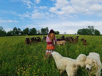 Bieszczady: W sąsiedzkiej komitywie z wilkami. Rozmowa z hodowcami kóz