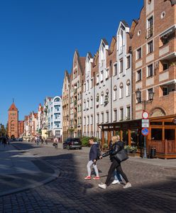 Badania na północy. Liczą na skarby ukryte w polskim mieście