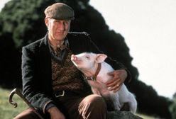 James Cromwell ponownie aresztowany
