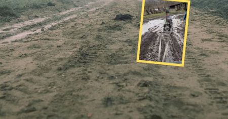 Zorganizowali kulig błotny dla dzieci. W sieci zawrzało