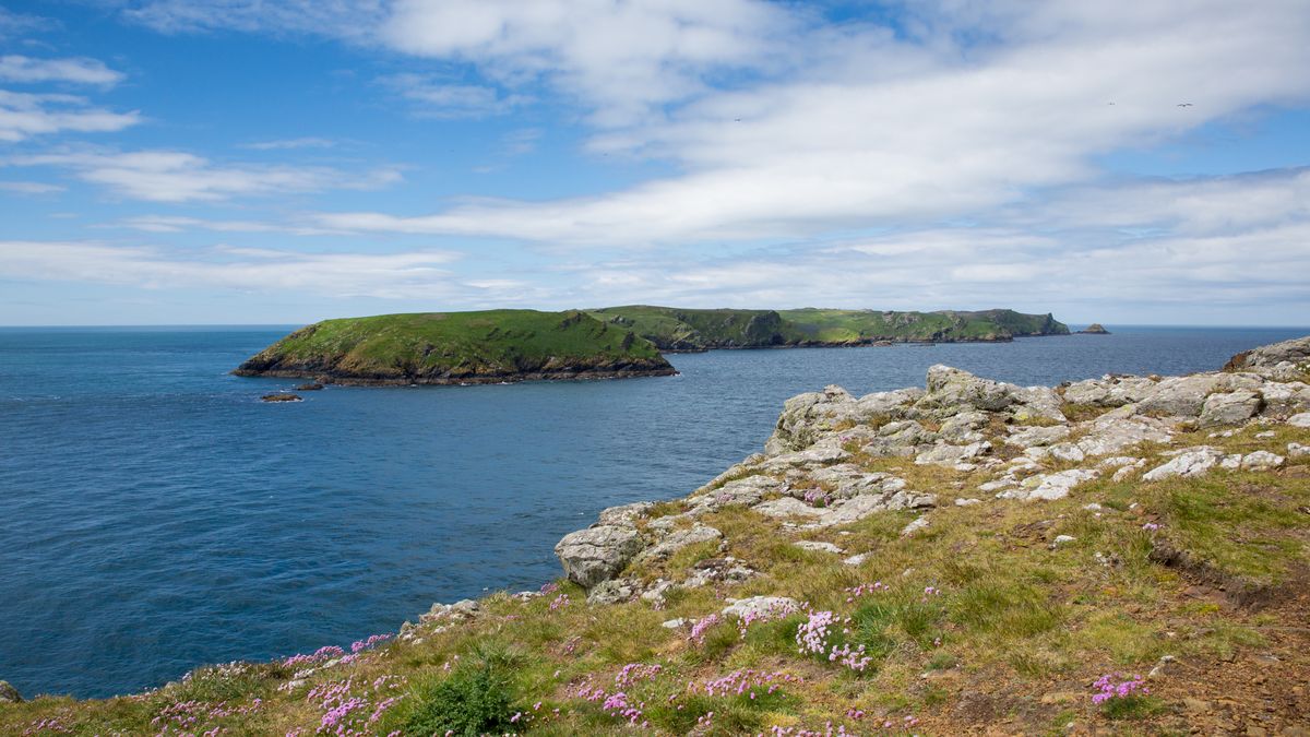 Wyspa jest rajem dla miłośników ornitologii