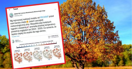 Takie są prognozy. Początek zimy inny niż zwykle