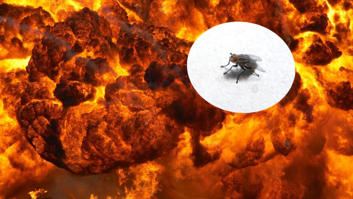 Wysadził pół domu