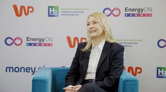 Magazyny energii kluczowe dla bezpieczeństwa. Barbara Adamska: "To już konieczność"