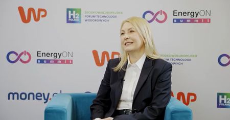 Magazyny energii kluczowe dla bezpieczeństwa. Barbara Adamska: "To już konieczność"