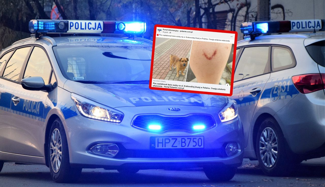 Atak psa. Poszkodowani ojciec i syn. Dramatyczny incydent