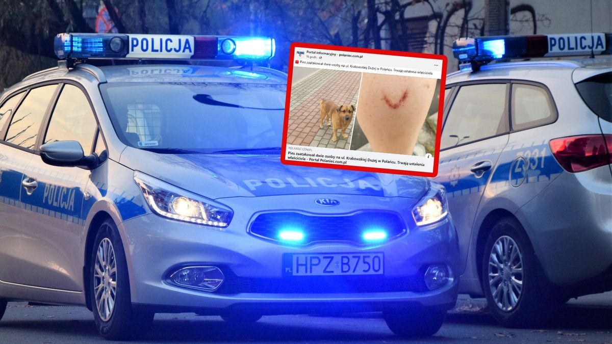 Pies zaatakował syna i ojca.