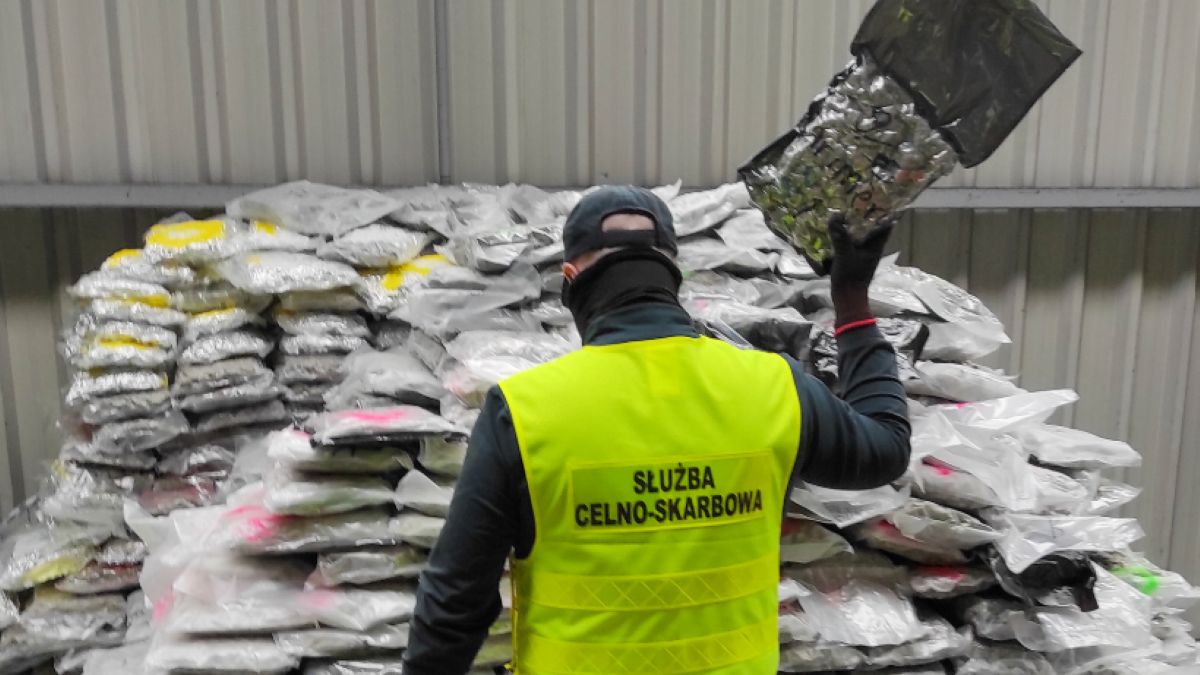 KAS przechwycił tonę marihuany