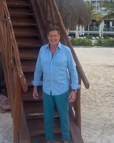 David Hasselhoff obecnie