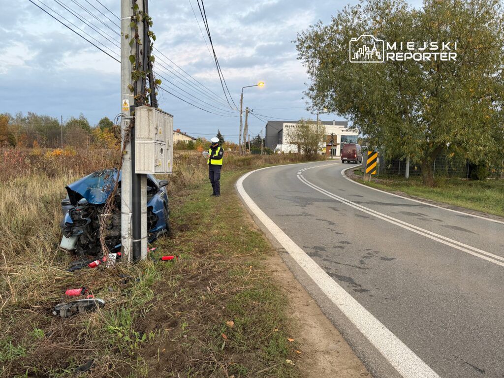Policjant w kamizelce ostrzegawczej bada wrak niebieskiego samochodu osobowego przy drodze, obok słupa elektrycznego.